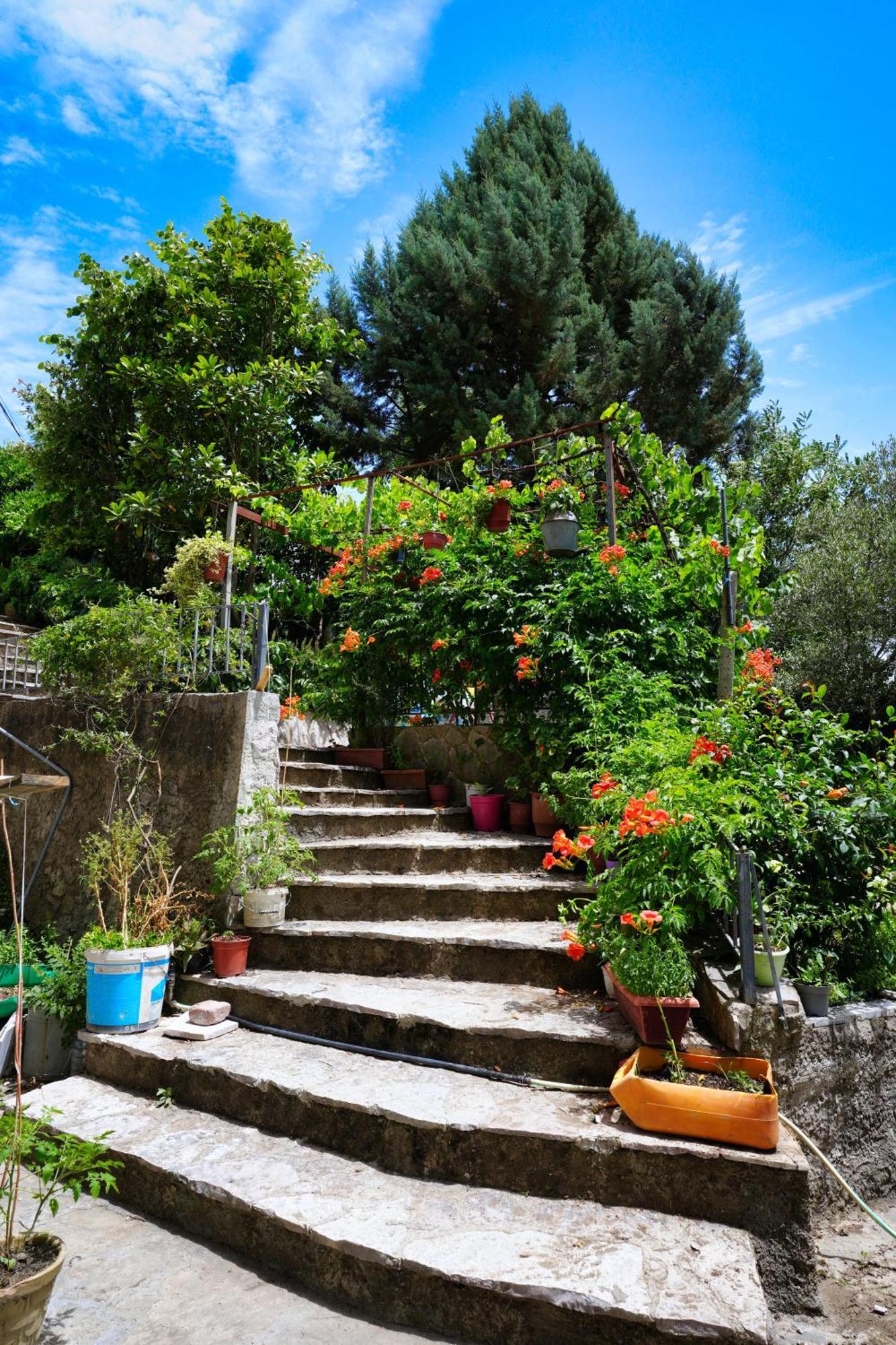 Apartment Banushi Gjirokastër