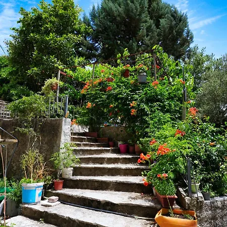 Vila Banushi Gjirokastër Exterior foto